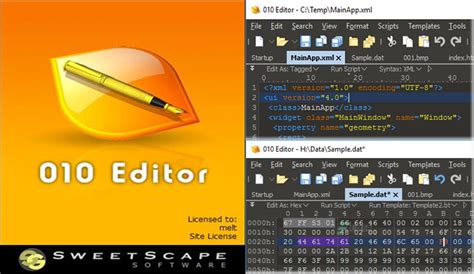 SweetScape 010 Editor Crack 11.0 + Keygen Download